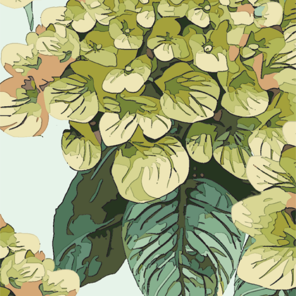PUBLIC PYJAMAS ~ Hydrangea Mist
